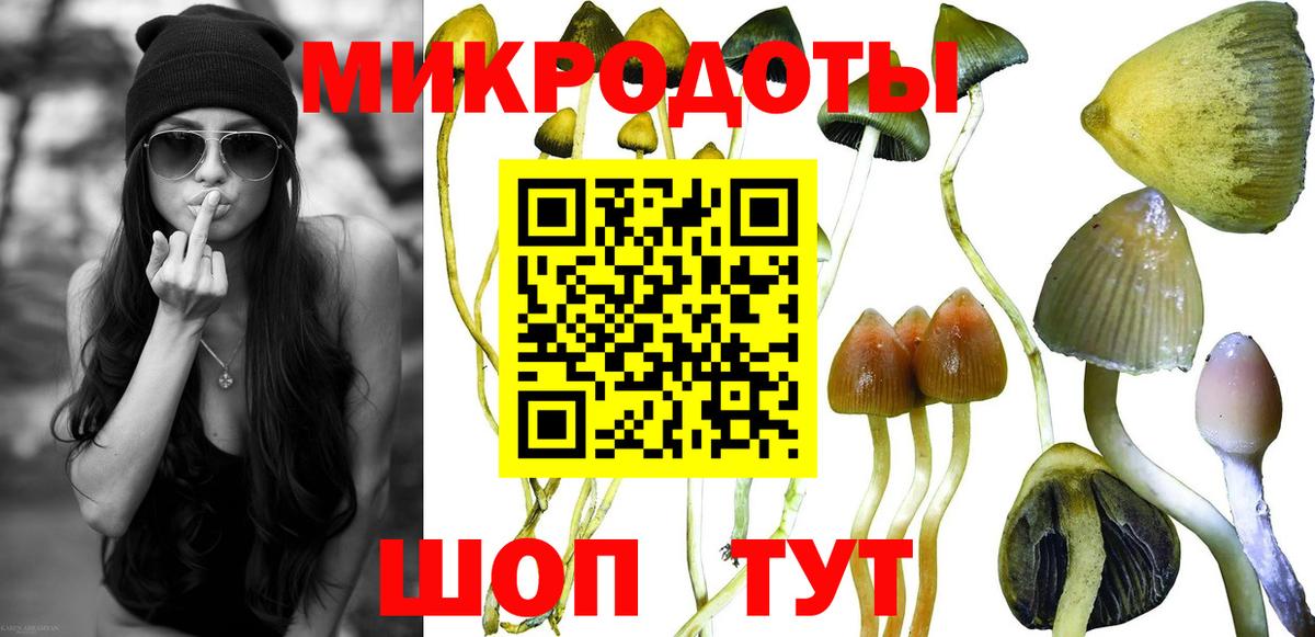 Елабуга  Псилоцибиновые грибы ЛСД  Вход с VPN 